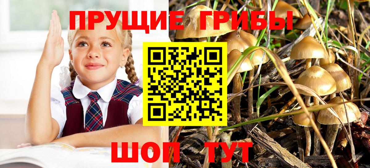 Галлюциногенные грибы GOLDEN TEACHER Можайск