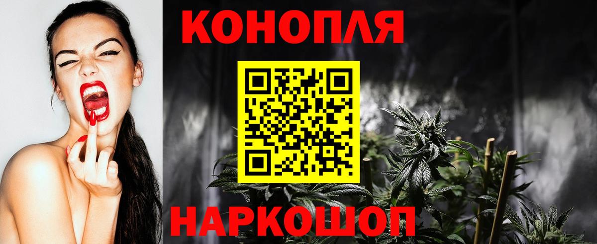Бошки марихуана сатива  Шишки марихуана сатива  МАРИХУАНА MAZAR  Вход с VPN  Можайск  Шишки марихуана White Widow 